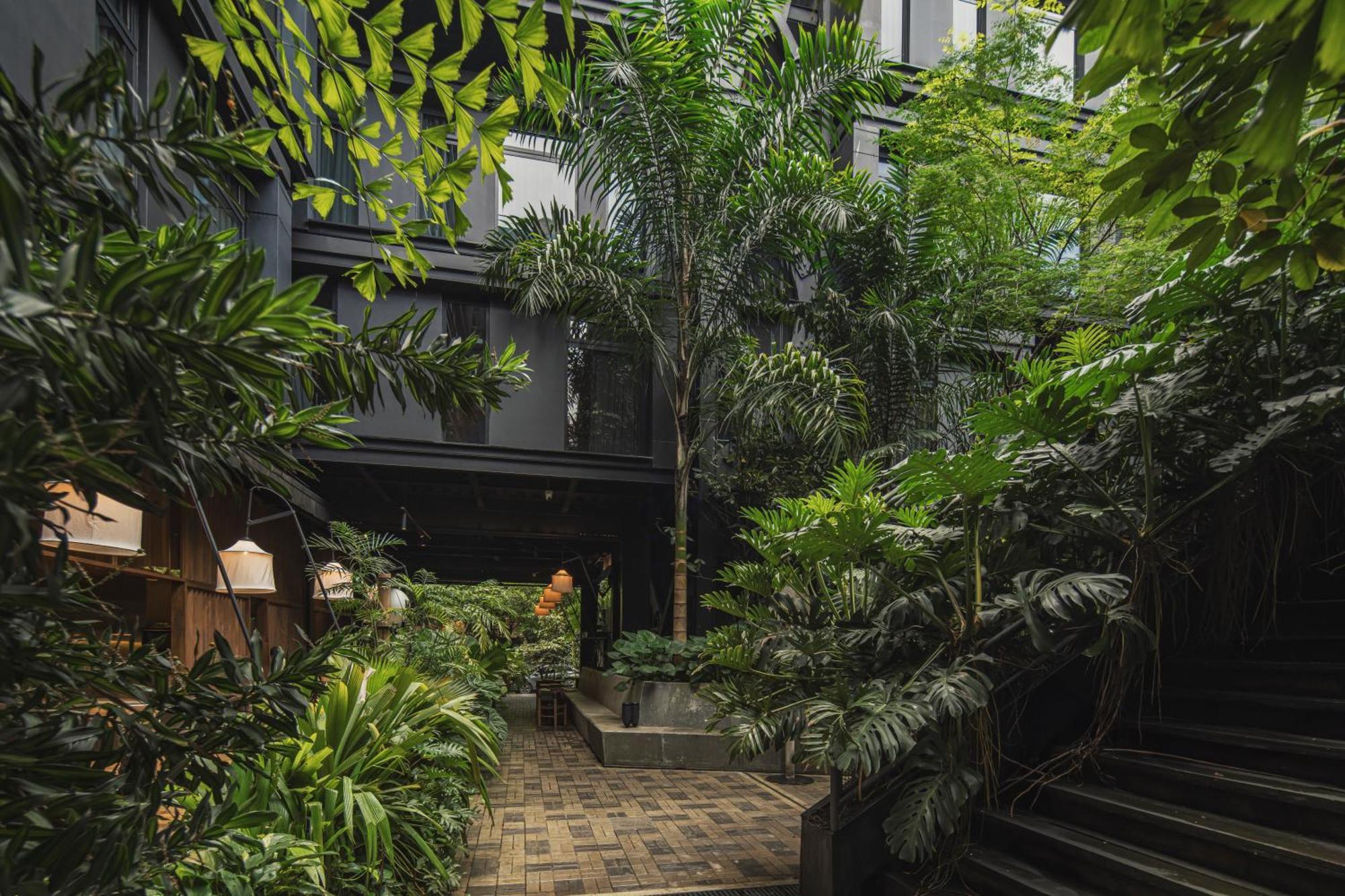 The Click Clack Hotel Medellín Esterno foto The interior courtyard of the hotel
