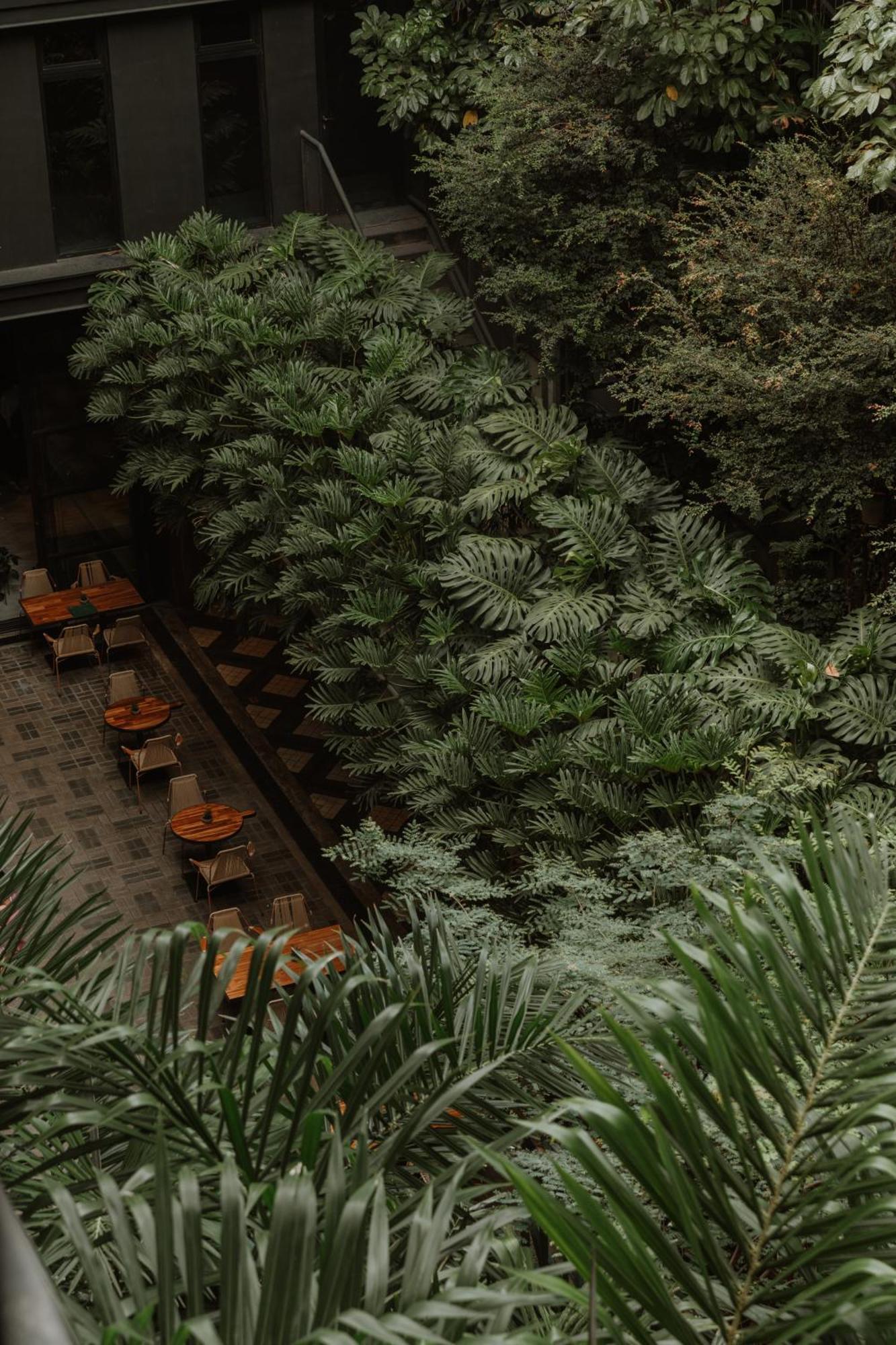 The Click Clack Hotel Medellín Esterno foto Alpinum